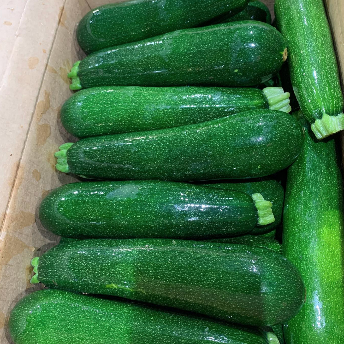 Zucchini Summer: Gifts for Senior Citizens