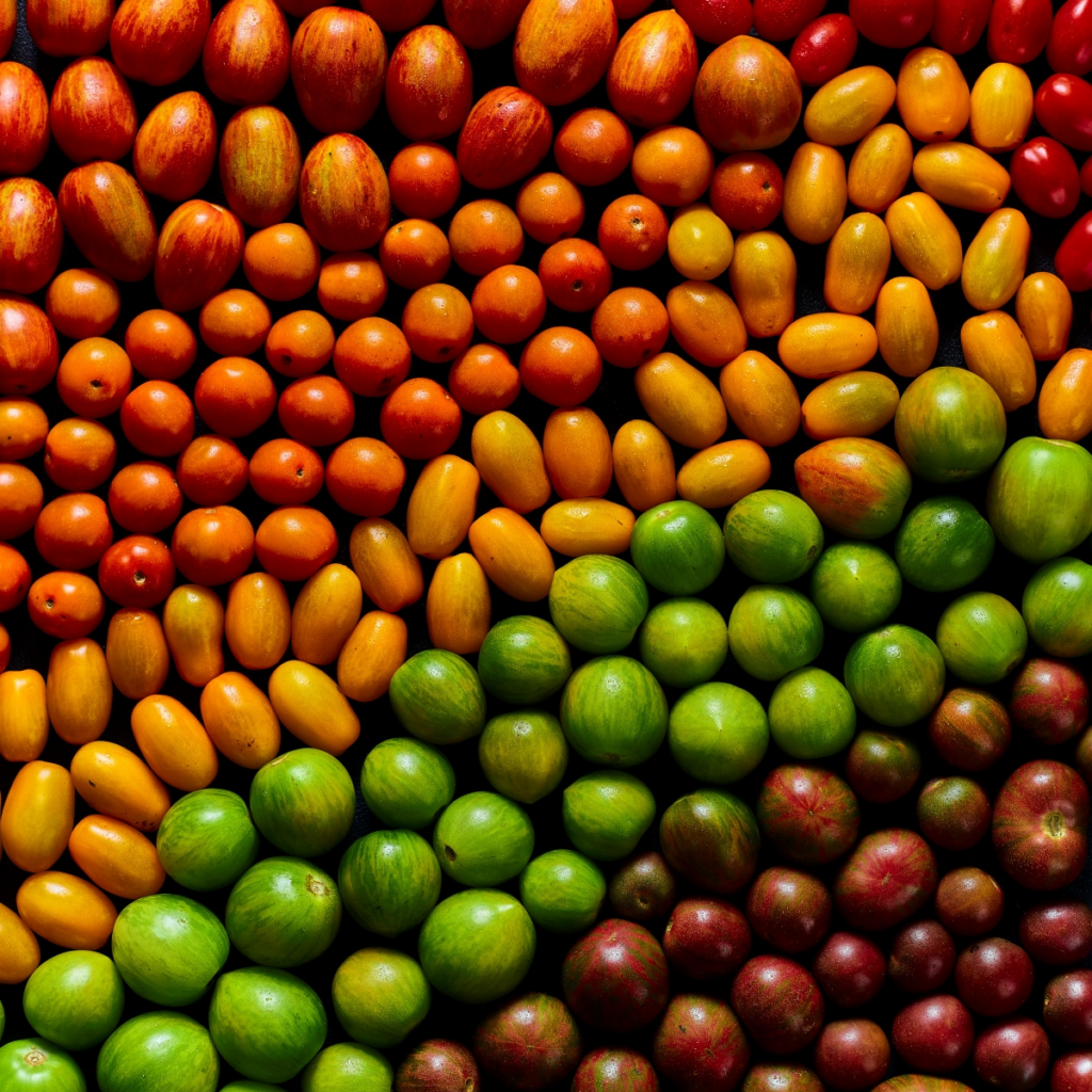 Organic Cherry Tomatoes