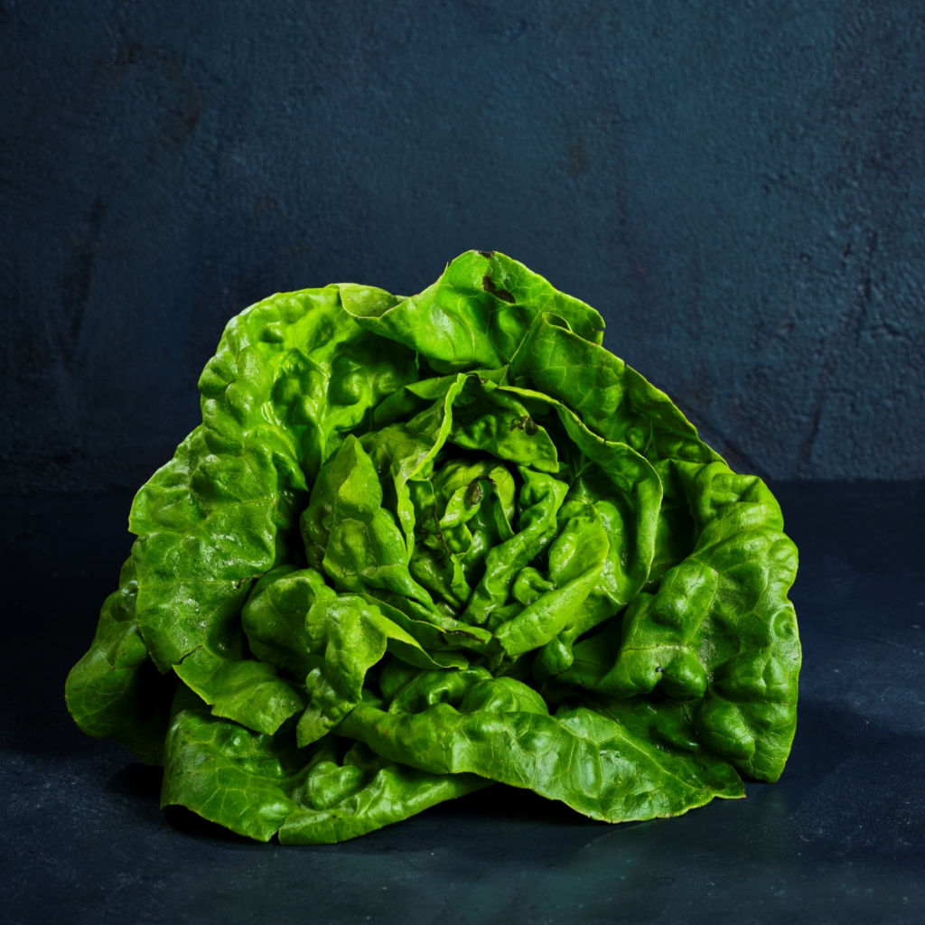 Organic Green Boston Bibb Lettuce