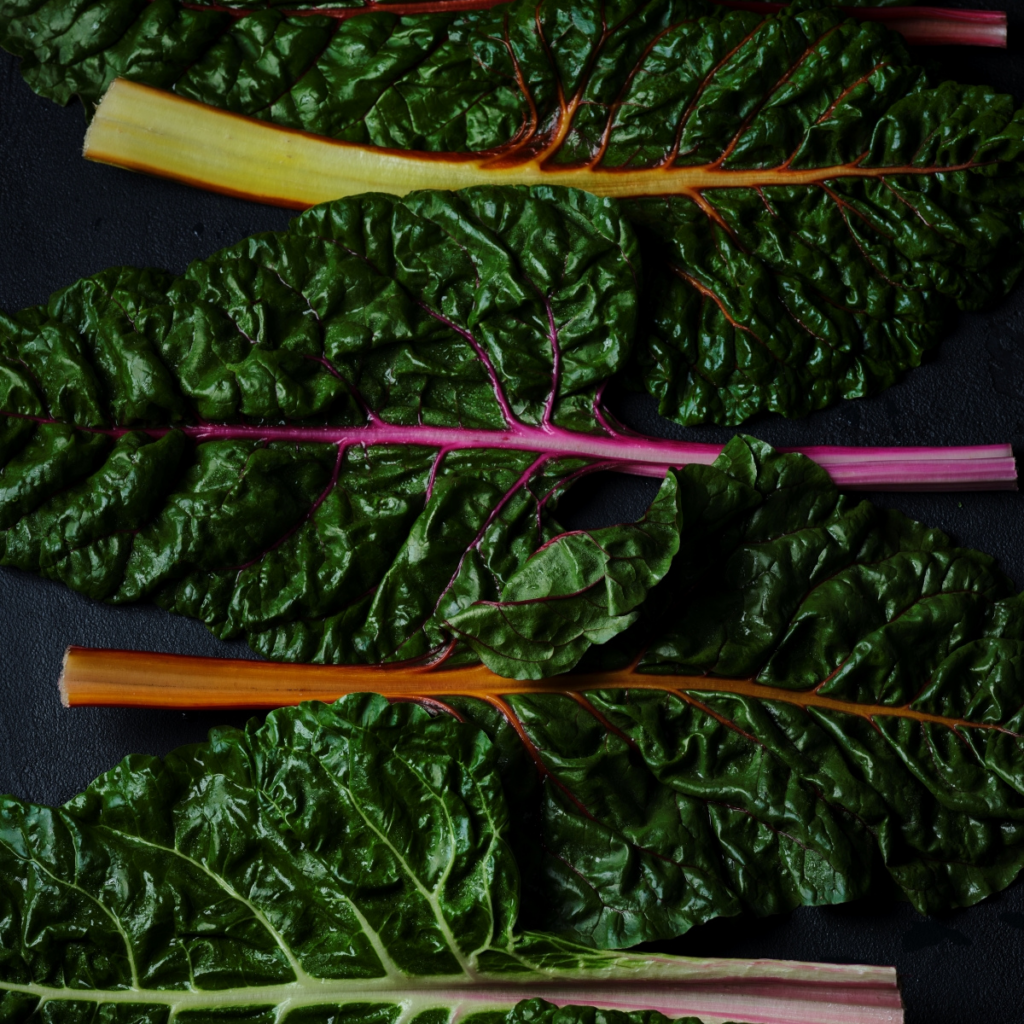 Organic Rainbow Chard